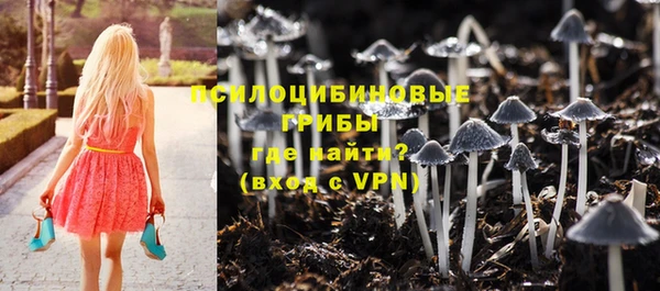 мяу мяу мука Арсеньев