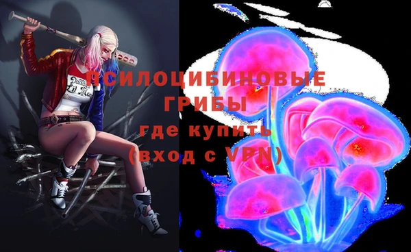 каннабис Аркадак