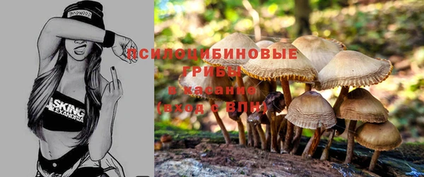 каннабис Аркадак