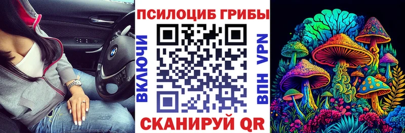 Галлюциногенные грибы мухоморы  Суджа 